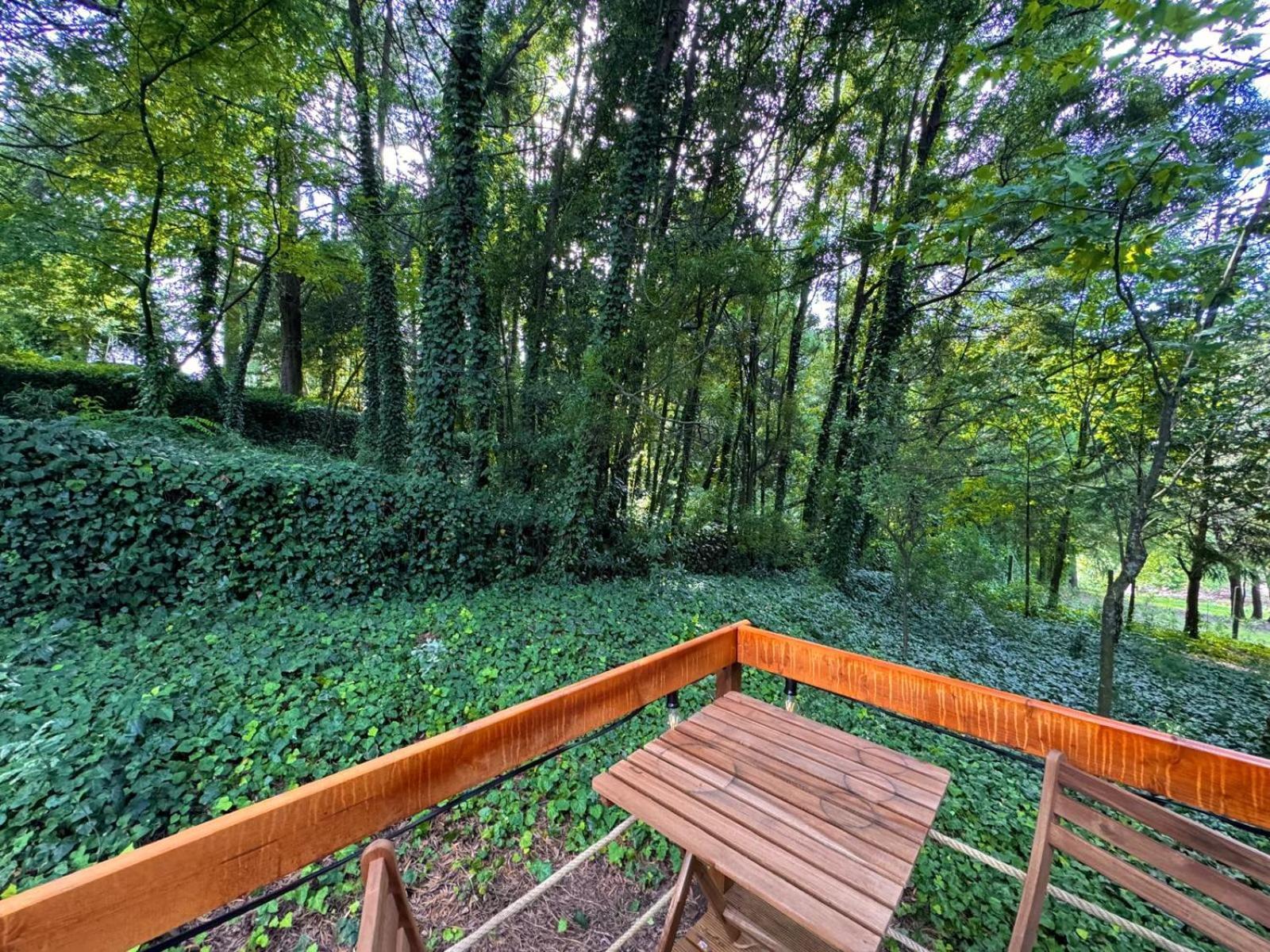 Glicinia Boutique Hotel Freamunde Buitenkant foto